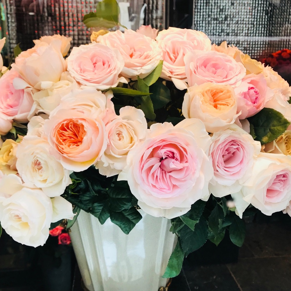 Meet your Posher, Tracy